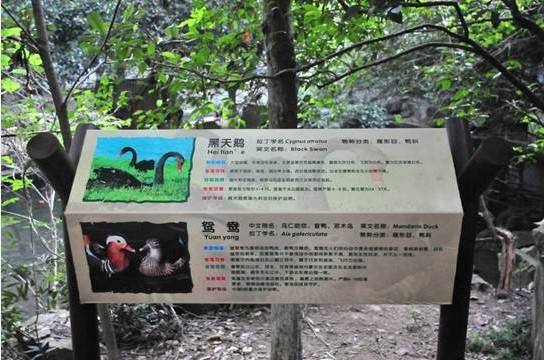 武汉动物园标识建设